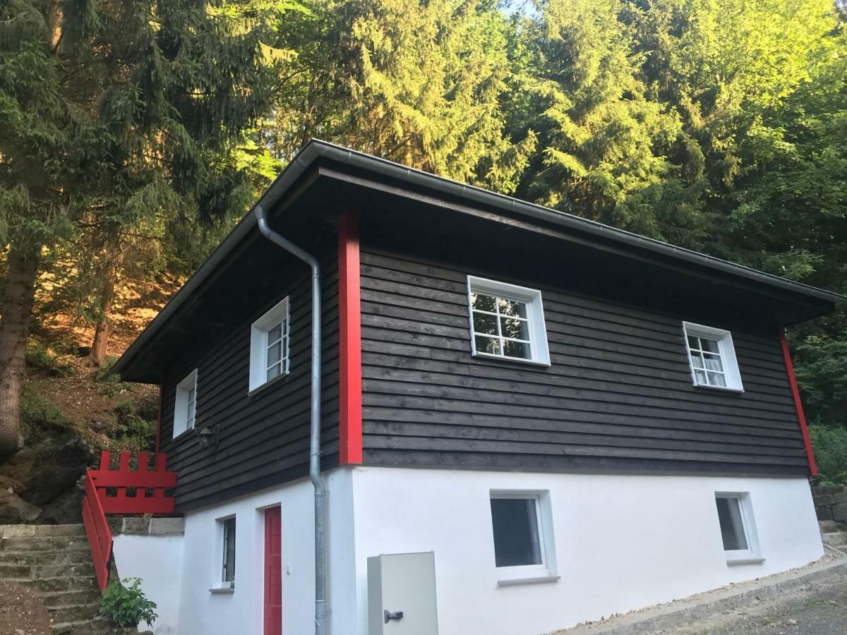 Blockhaus Im Kuckuckswinkel Villa Schöna Exterior foto